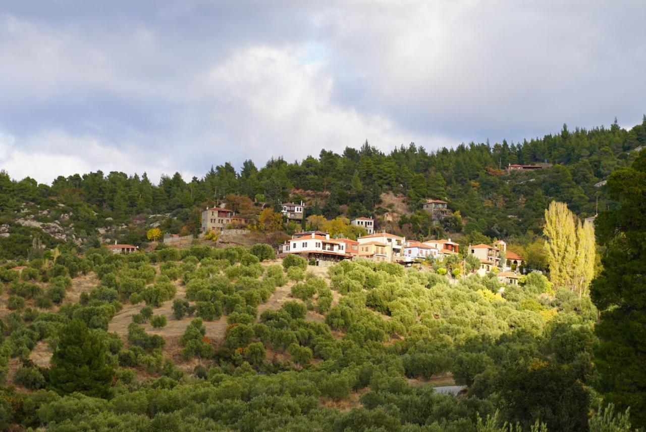 Alterra Vita Eco Villas Неос-Мармарас Экстерьер фото