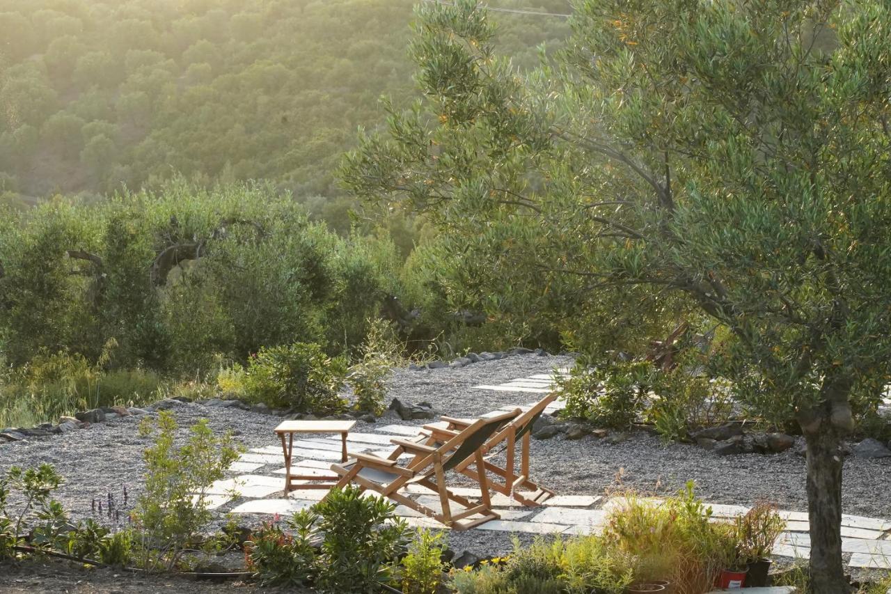 Alterra Vita Eco Villas Неос-Мармарас Экстерьер фото